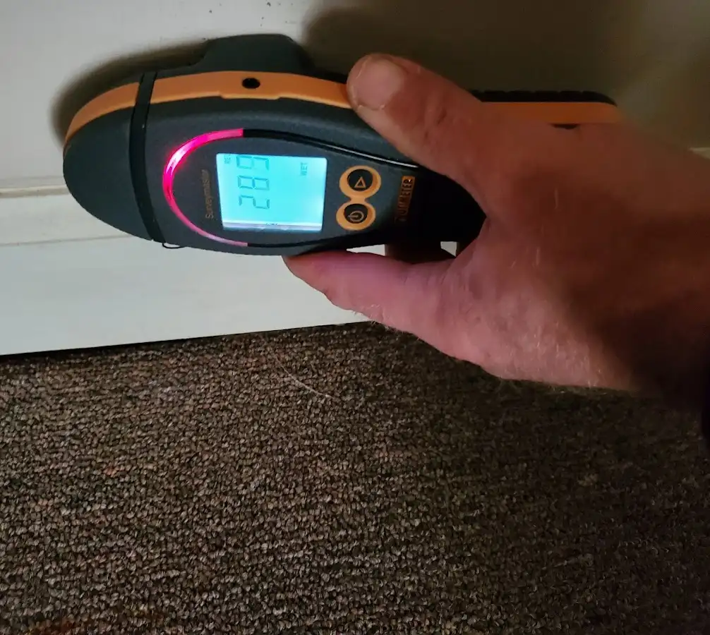 Moisture detection at baseboard during Mold Inspection & Testing in Austin